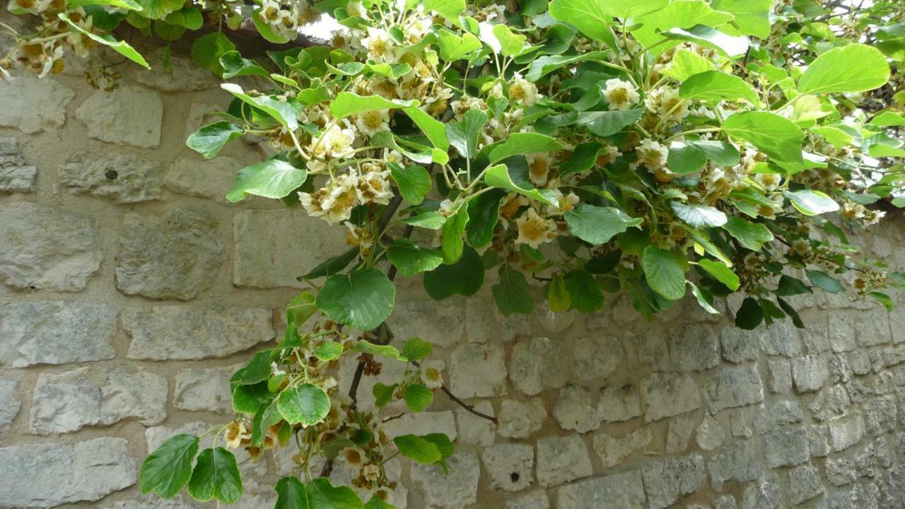 جيفرني Maison D'Hotes Les Coquelicots المظهر الخارجي الصورة